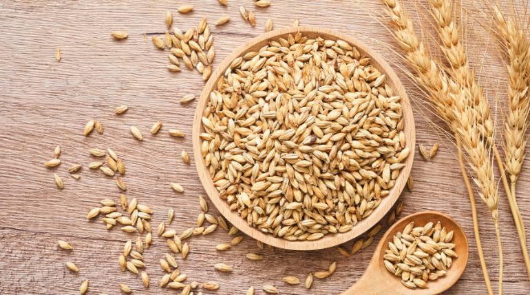 fibra-e-cereais-integrais-poderao-diminuir-o-risco-de-diabetes-e-ajudar-a-controlar-a-doenca-mas-cereais-integrais-muito-processados-tem-menos-beneficios